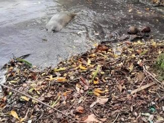 361590987 658321552986812 5286679475894060812 n