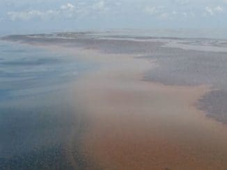 362237363 839348407781433 6566451582637091350 n