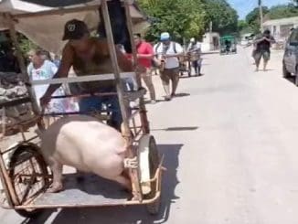 362968565 739016754901379 7926271803050213179 n