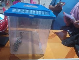 5955a695 f4ab 455b afd9 9240995240b7