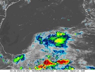 WhatsApp Image 2023 07 03 at 08.42.51