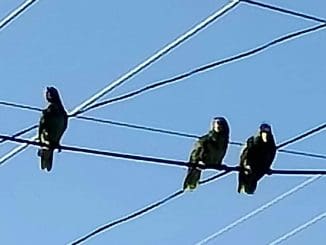 WhatsApp Image 2023 07 03 at 20.17.20