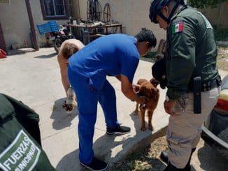 WhatsApp Image 2023 07 06 at 10.21.09