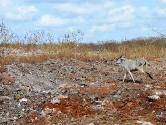 WhatsApp Image 2023 07 08 at 00.28.57