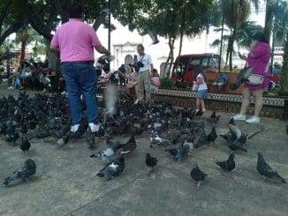 WhatsApp Image 2023 07 11 at 12.49.56