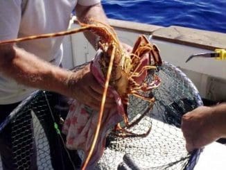 WhatsApp Image 2023 07 12 at 15.31.17