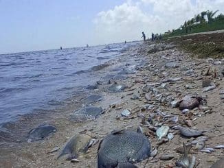 WhatsApp Image 2023 07 15 at 11.39.41