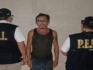 WhatsApp Image 2023 07 17 at 08.11.29