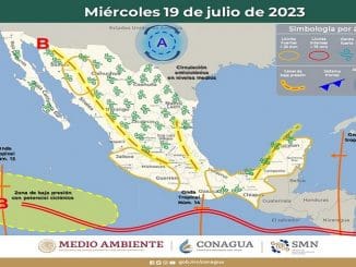 WhatsApp Image 2023 07 19 at 08.14.44