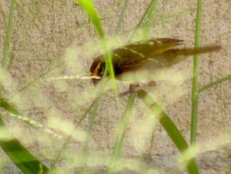 WhatsApp Image 2023 07 20 at 08.33.55