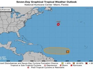 WhatsApp Image 2023 07 21 at 15.08.14