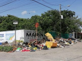 WhatsApp Image 2023 07 24 at 10.09.32