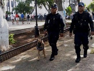 WhatsApp Image 2023 07 24 at 15.52.19