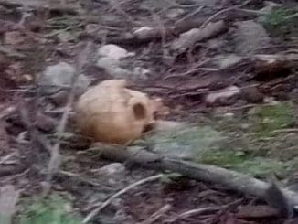 WhatsApp Image 2023 07 24 at 22.05.11