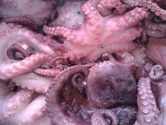 WhatsApp Image 2023 07 25 at 09.54.42