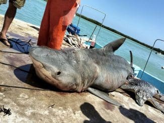 WhatsApp Image 2023 07 28 at 13.02.15