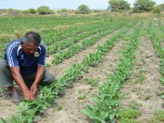 WhatsApp Image 2023 07 28 at 14.29.19