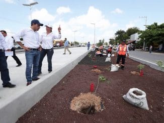 C2fbf40c 0eb1 428d 8867 a83490c456c4