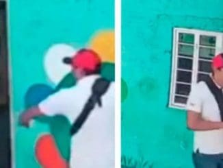 C46d4d6c 3da8 46a7 bcc9 24d1e59d191f