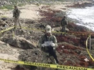 Caracteristicas del comercio electronico