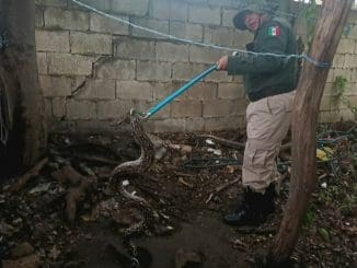 Ef43a7a1 90ac 4f99 ad43 77e082b988ab