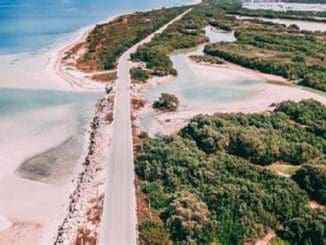 WhatsApp Image 2023 08 02 at 10.45.45