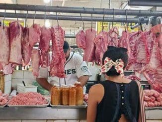 WhatsApp Image 2023 08 03 at 10.08.27