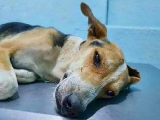 WhatsApp Image 2023 08 04 at 12.22.40