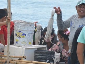 WhatsApp Image 2023 08 04 at 12.25.08