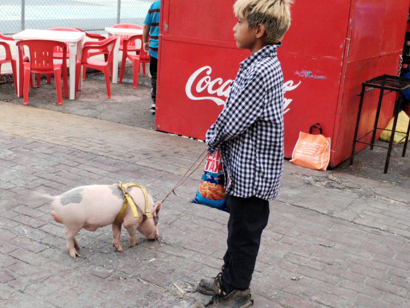 WhatsApp Image 2023 08 13 at 18.42.52