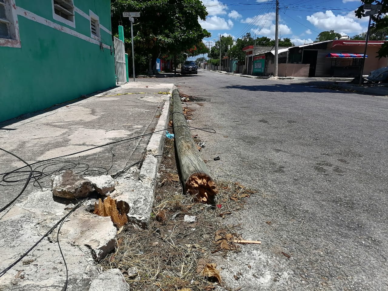 WhatsApp Image 2023 08 14 at 06.09.56