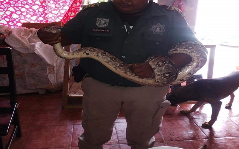 WhatsApp Image 2023 08 14 at 22.02.42