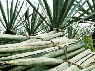 Baab9aaa 30f2 42b5 a247 ccfcb7d44e73