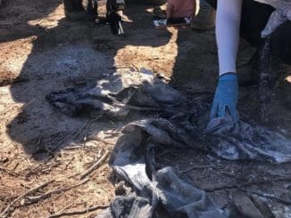 Cab20958 68f1 451c b362 bb0dbb71d4d9