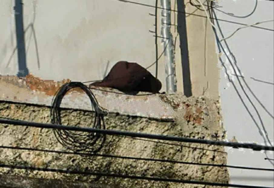 Imagen de WhatsApp 2023 09 22 a las 19.48.10