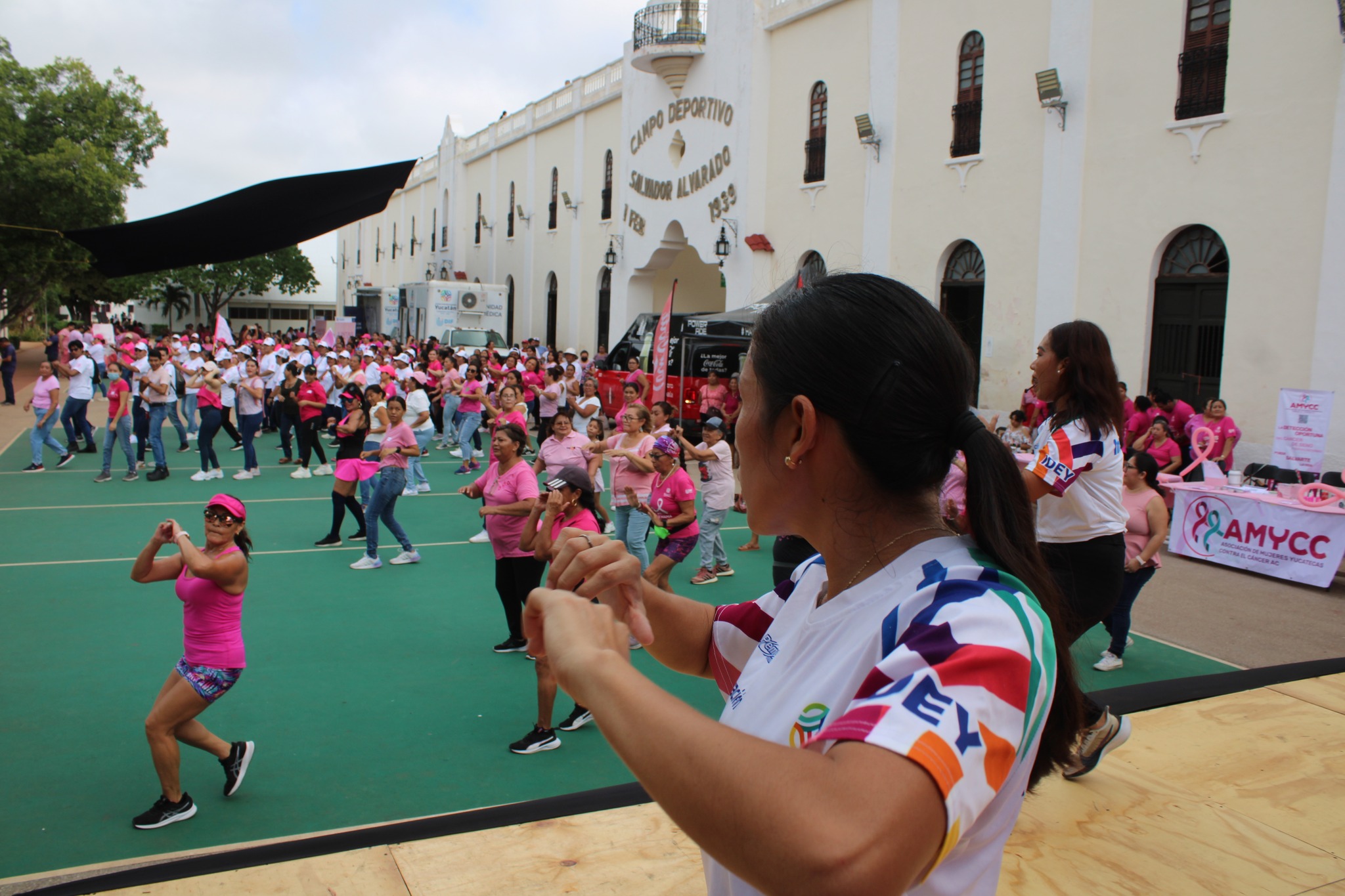 391625134 670894021802356 6979859590248174556 n