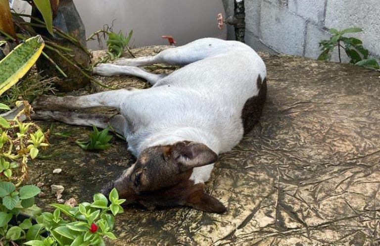 Imagen de WhatsApp 2023 10 14 a las 12.19.50 cb49783c