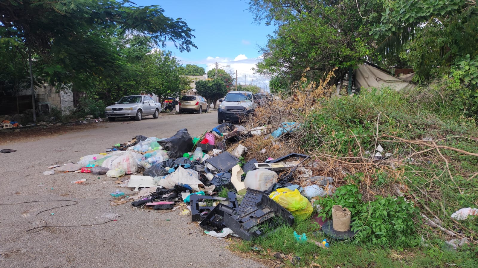 Imagen de WhatsApp 2023 12 16 a las 13.58.19 72cfdf21