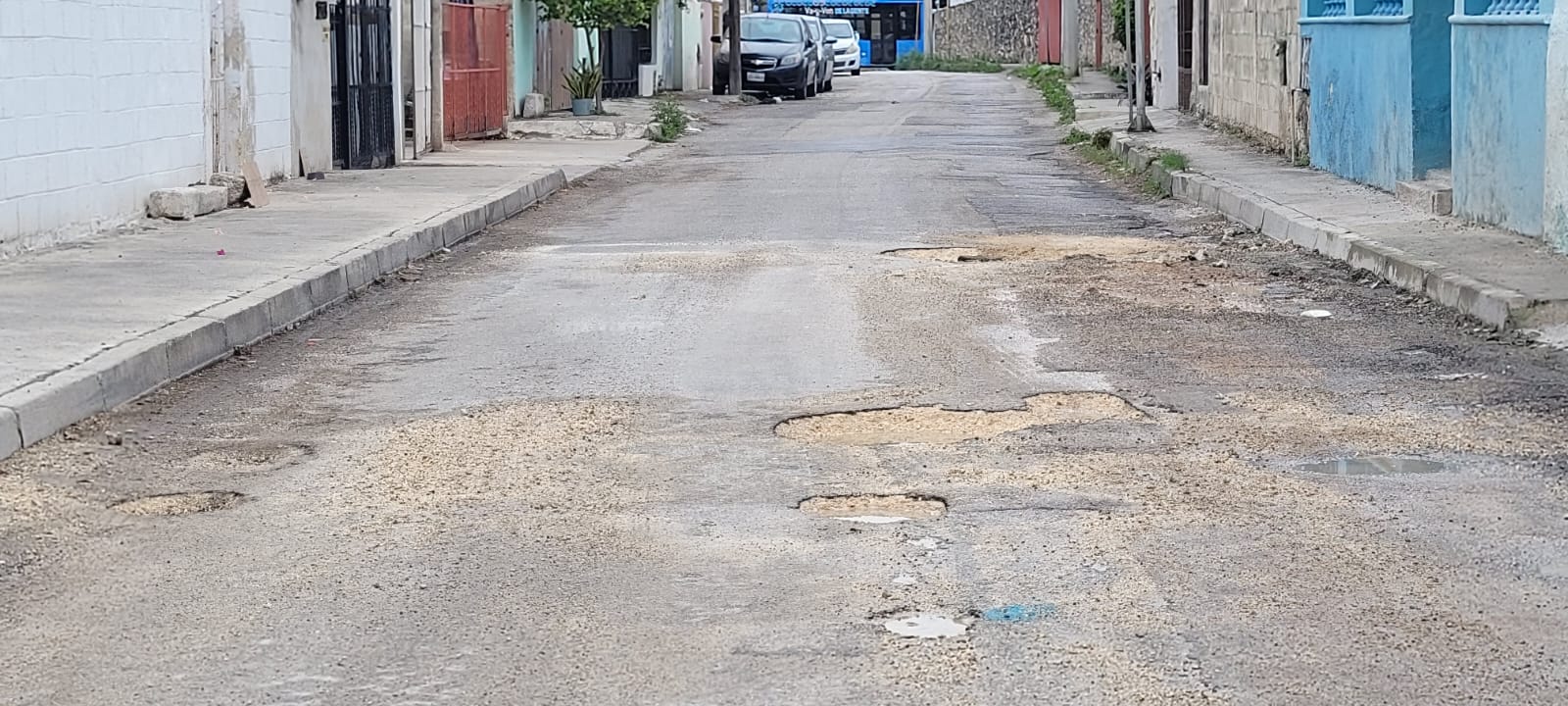 Imagen de WhatsApp 2024 01 13 a las 09.30.30 fa1ee2c8