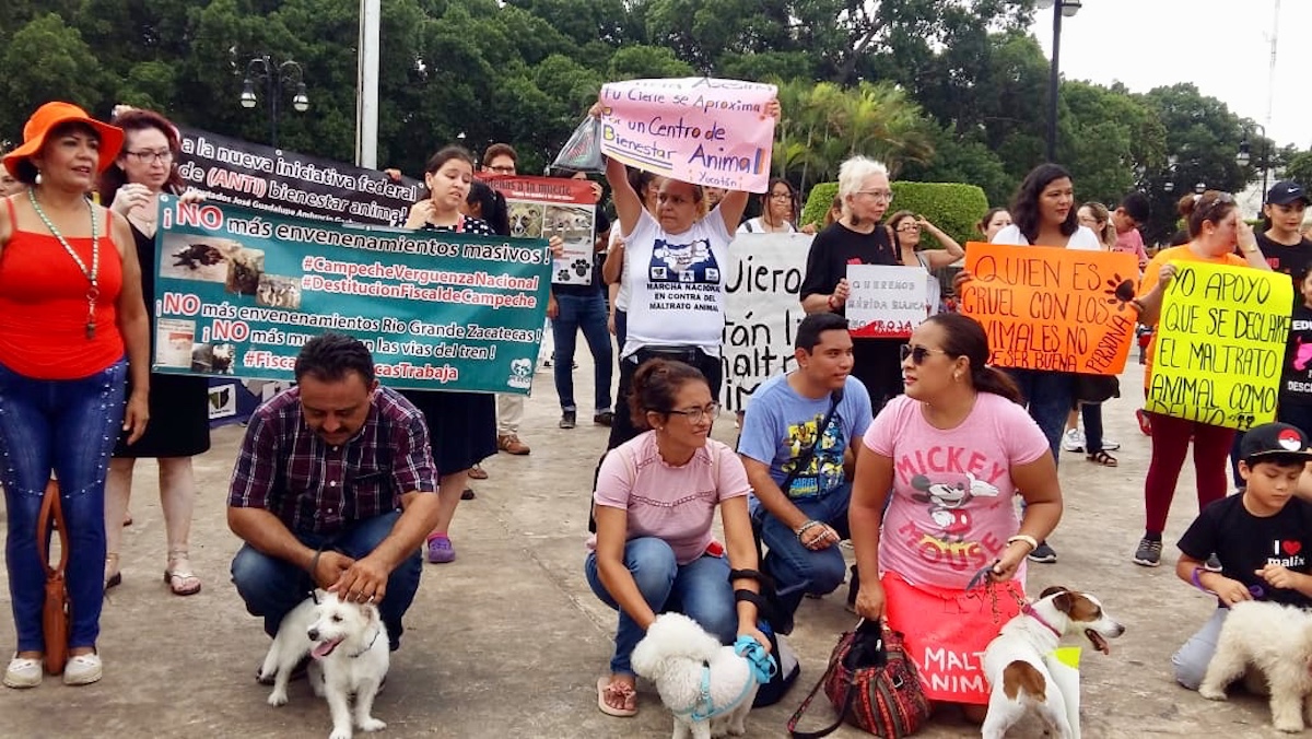 Imagen de WhatsApp 2024 01 13 a las 10.56.15 3955c63f