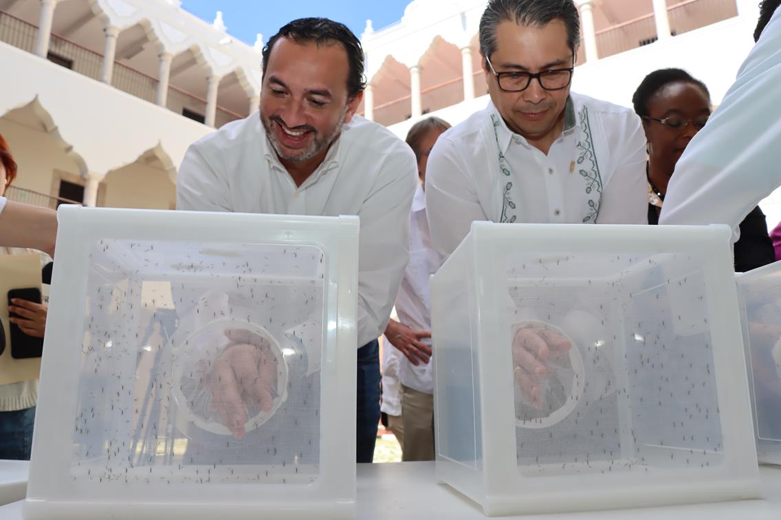 Imagen de WhatsApp 2024 02 10 a las 11.38.41 e58af4f9