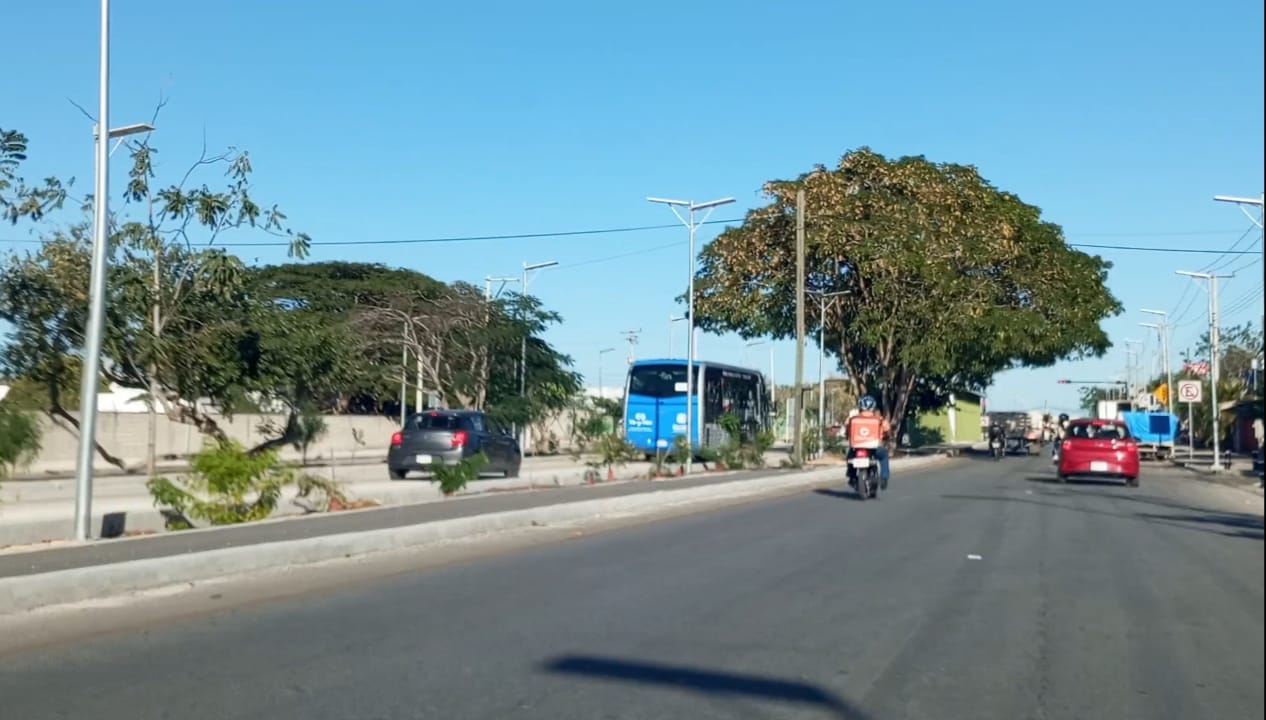 Imagen de WhatsApp 2024 02 24 a las 11.01.13 7962b9ab