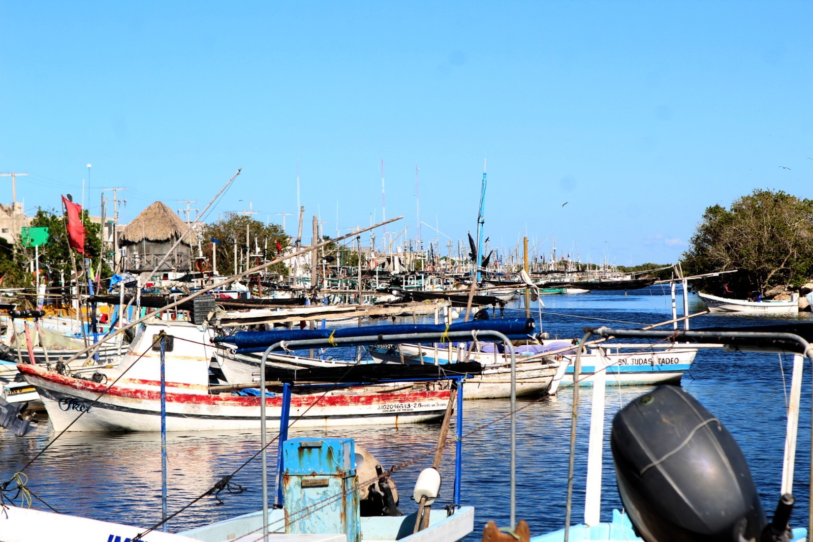 Imagen de WhatsApp 2024 02 24 a las 11.03.34 a696c75b