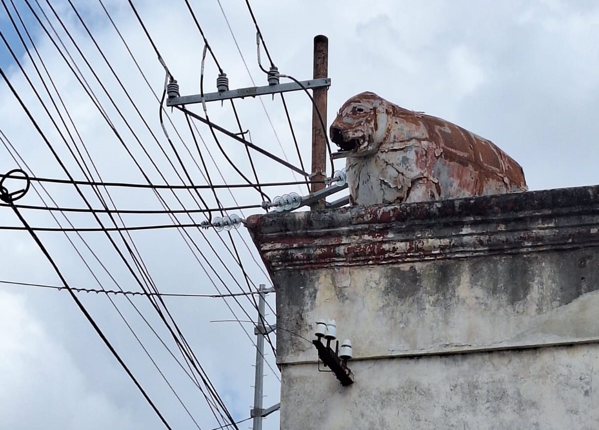 Imagen de WhatsApp 2024 03 16 a las 11.43.32 6a2490a5