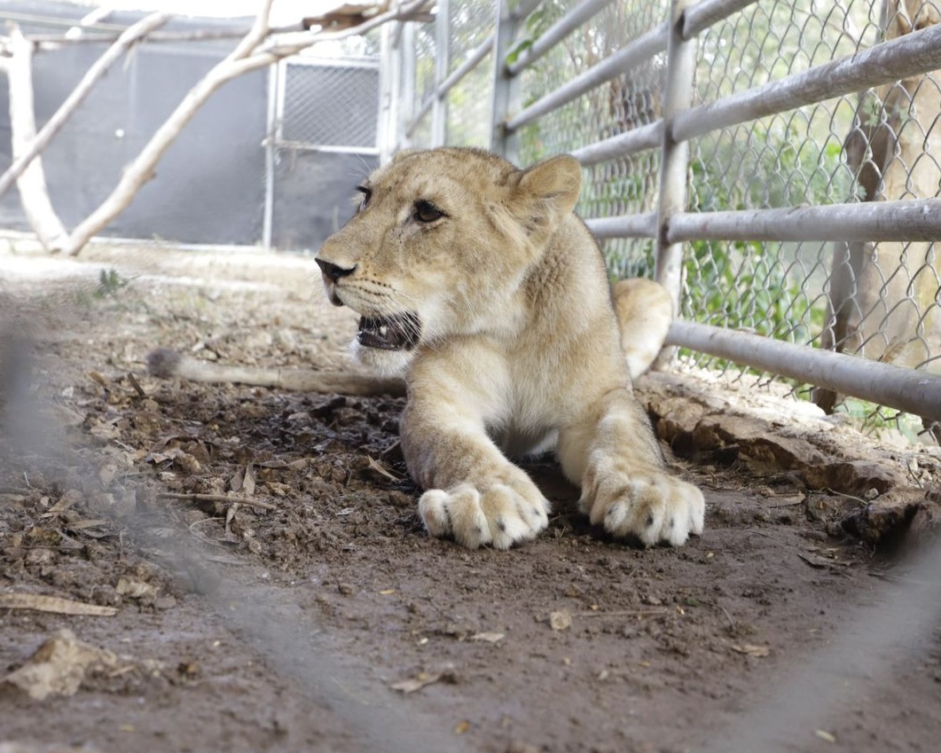 Imagen de WhatsApp 2024 03 16 a las 16.56.50 0869ec78