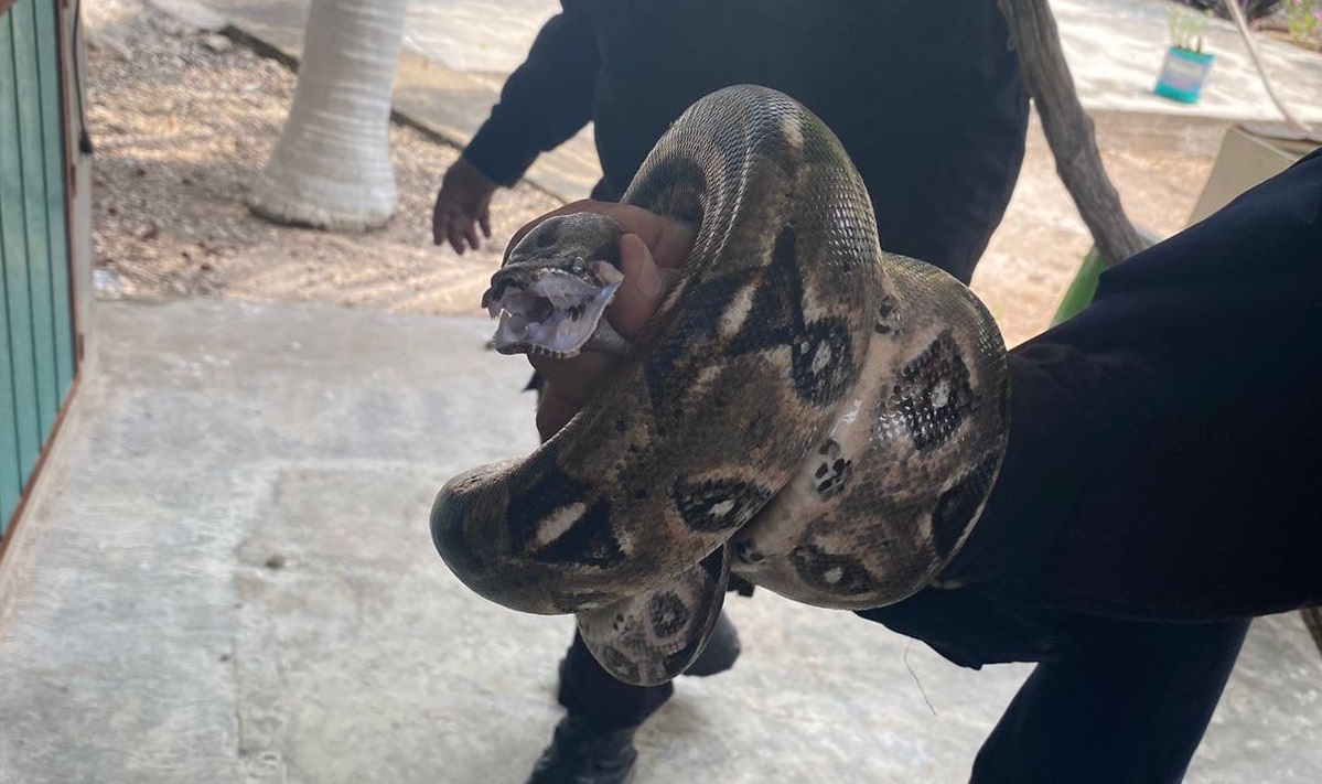 1ed3da84 dafe 47f6 9d44 6ab5f921fc3e