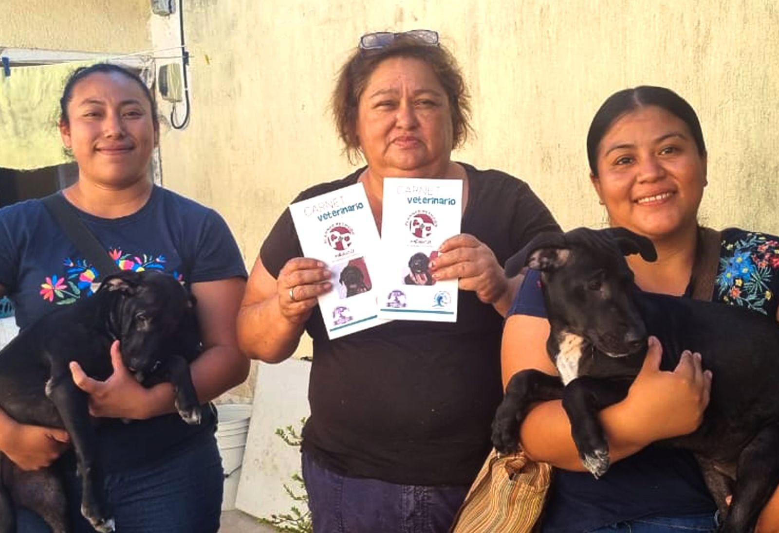 IMG 20240408 WA0100(1)