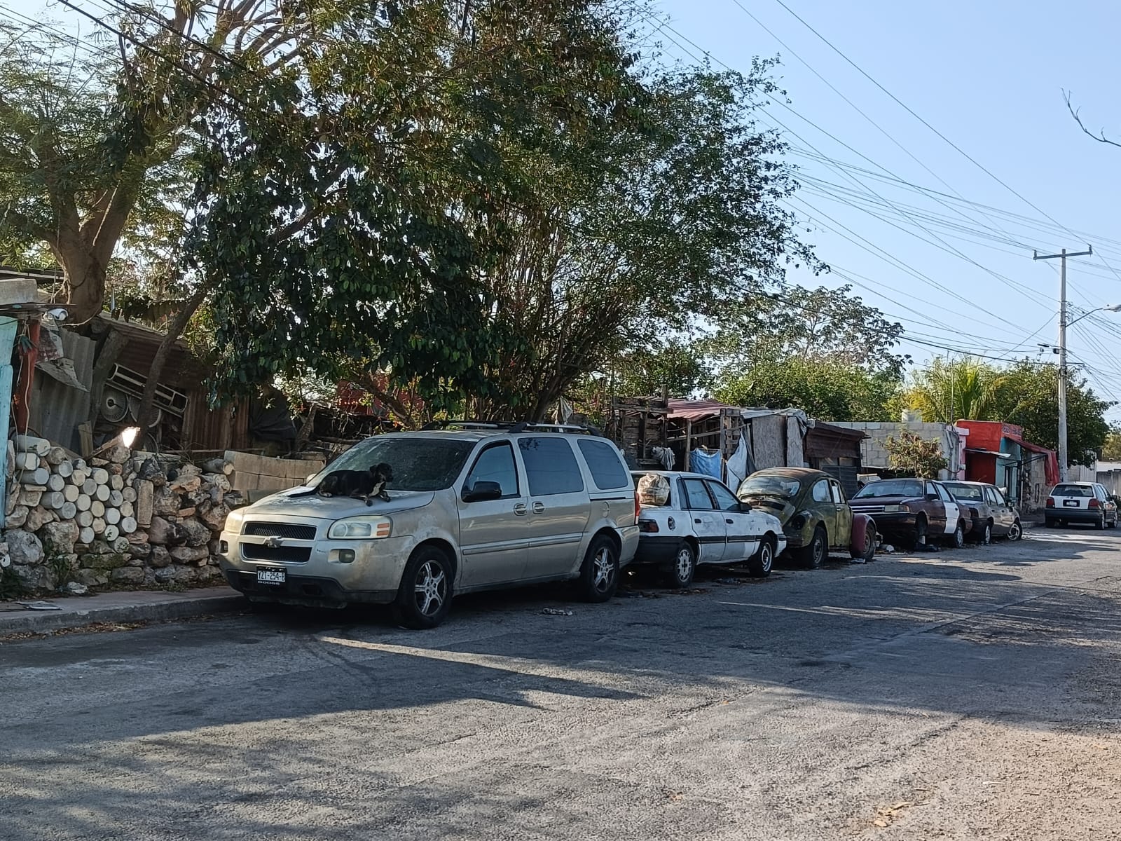 Imagen de WhatsApp 2024 04 13 a las 07.42.09 3ba1cbbb