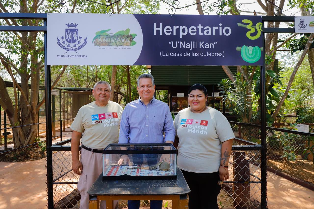 Imagen de WhatsApp 2024 04 20 a las 15.05.56 3625186d