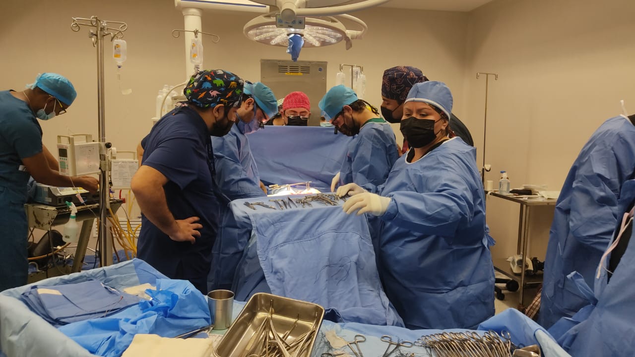 Imagen de WhatsApp 2024 04 20 a las 17.36.52 52c9169d